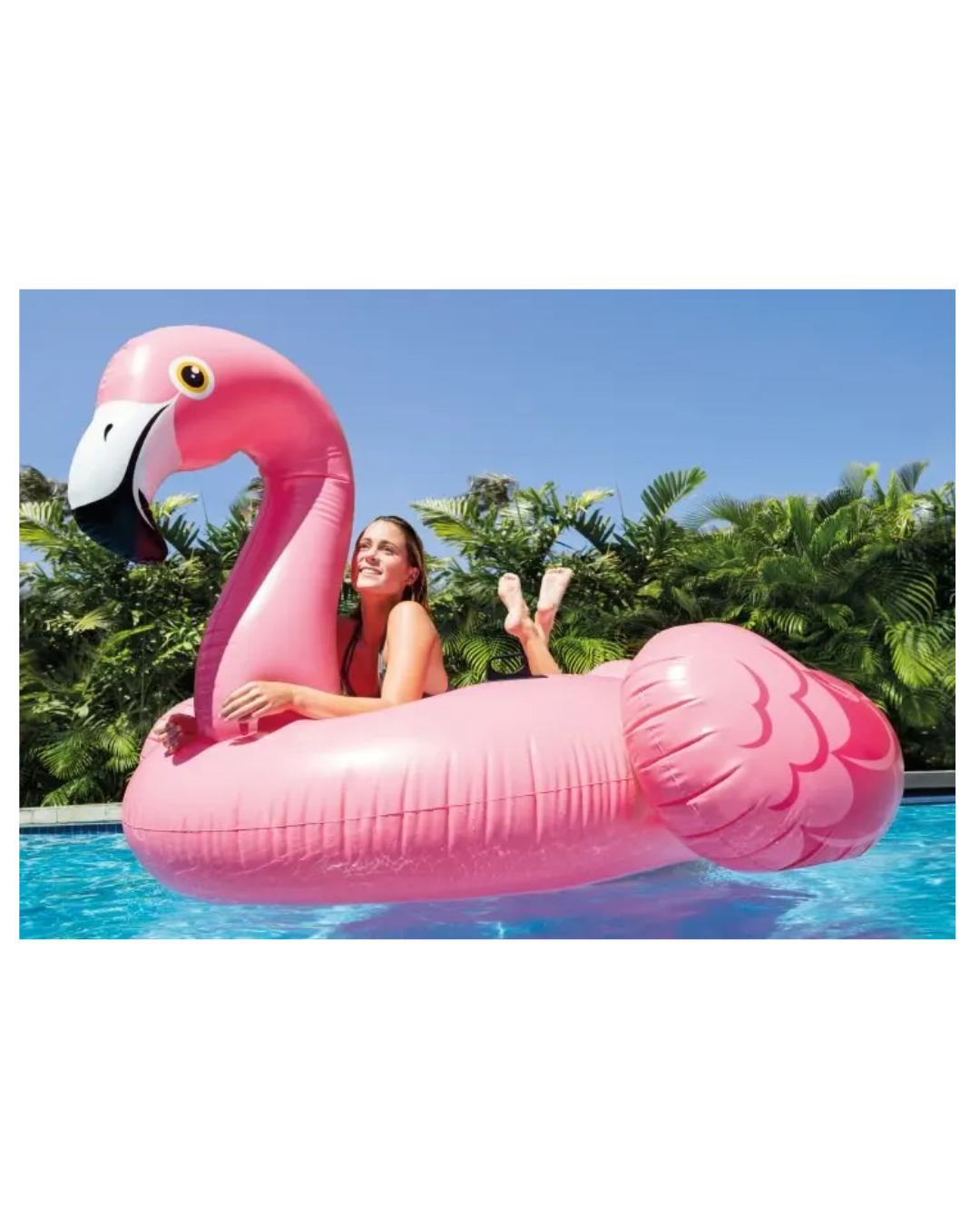 Flotador Inflable Flamingo Intex 57558 Piscina Cisne Rosado Grande