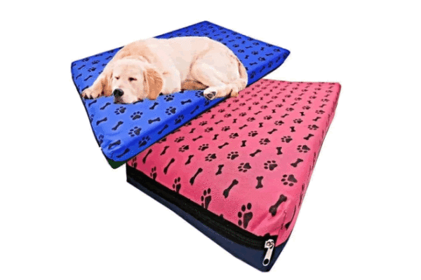 Colchoneta O Cama Para Perro O Gato 60x50x7cm Resistente