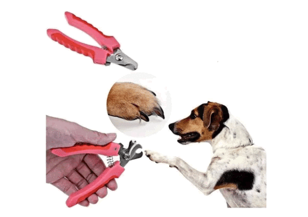 Kit Aseo Mascotas Cortaúñas Cepillo Perros Gatos Cuidado