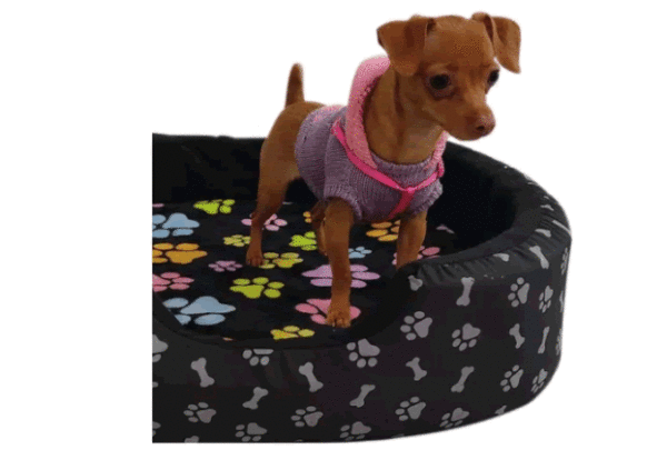 Sofa cama #1 Para Perros Gatos 55x55cm Suave