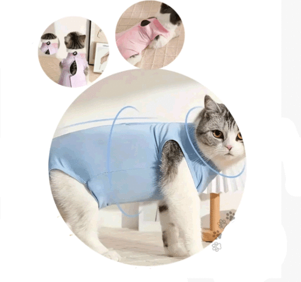 Faja De Recuperación Para Gato Post Quirúrgica Talla M Nueva Oferta