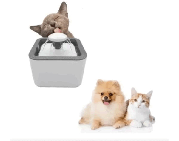 Dispensador De Agua Para Nuestras Mascotas