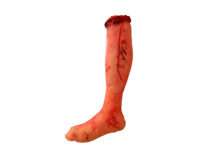 Pie Pierna Arrancado 37cm Terror Zombie Halloween Broma