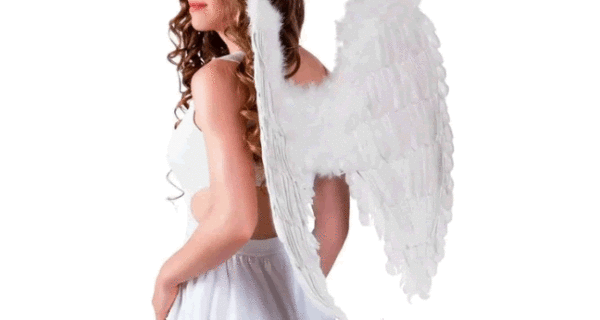 Disfraz Alas Ángel Plumas Mp294 80x60cm Halloween